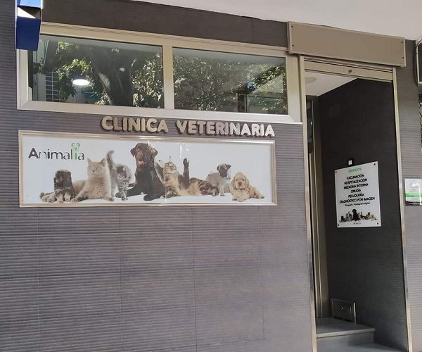 Clínica Veterinaria Animalia (Puertollano)