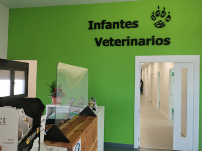 Infantes Veterinarios (Villanueva de los Infantes)