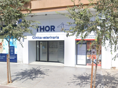 Clínica Veterinaria Thor (Córdoba)
