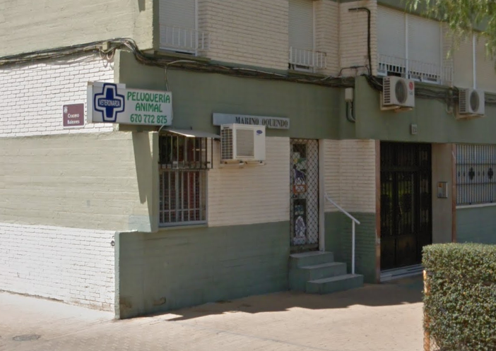 Todo Animal Figueroa (Córdoba)