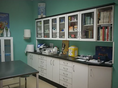 Consulta Veterinaria 'Elbety' (Iniesta)