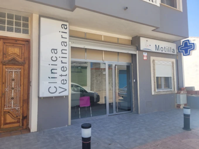 Clínica Veterinaria Silvia Motilla (Motilla del Palancar)
