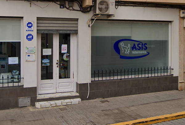 Asis Veterinarios (San Clemente)