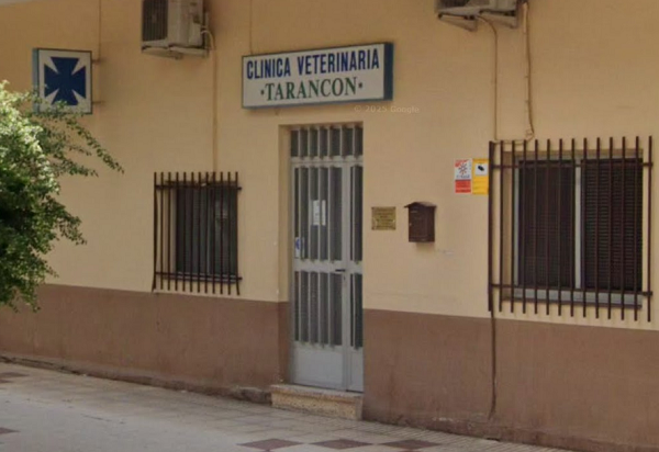Centro Veterinario Tarancón (Tarancón)