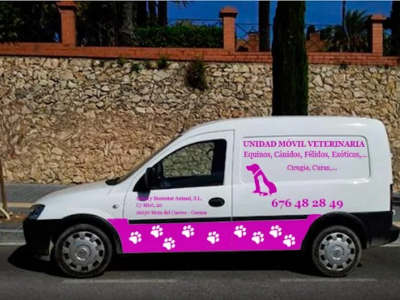 Clínica Veterinaria Mota (El Cuervo)