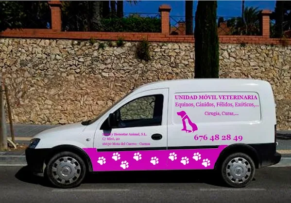 Clínica Veterinaria Mota (El Cuervo)