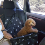 Mascotes Costa Brava (Ventalló)