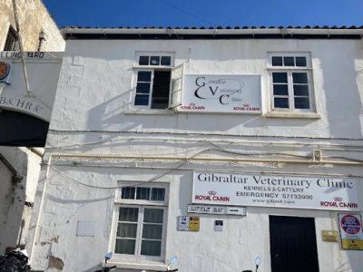 Gibraltar Veterinary Clinic (Gibraltar)