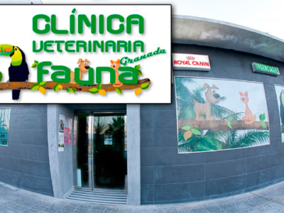Clínica Veterinaria Fauna Granada (Alhendín)