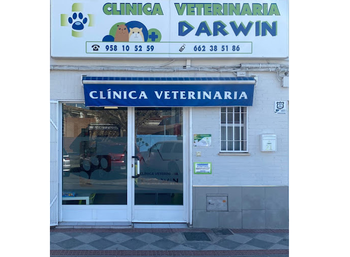 Clínica veterinaria Darwin (Atarfe)