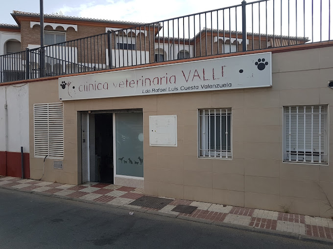 Clínica Veterinaria Valle de Lecrin (Dúrcal)