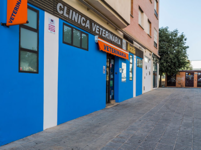 Clínica Veterinaria Alcazaba (Granada)