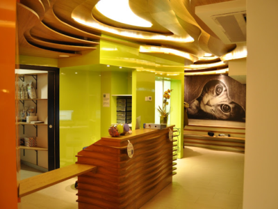 Clínica Veterinaria Jardín de la Reina (Granada)