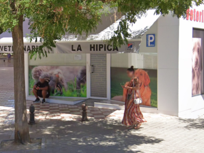 Clínica Veterinaria la Hípica (Granada)