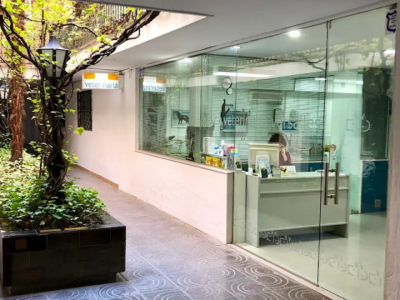 Clínica Veterinaria Versalles (Granada)