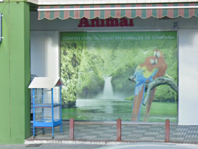 Consultorio Vitamin Animal - Clínica Veterinaria (Granada)