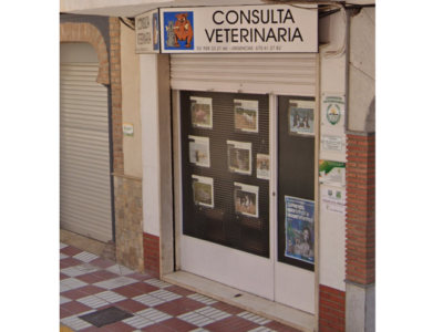 Consulta Veterinaria Mª Del Valle Peláez Pasadas (Huétor Tájar)