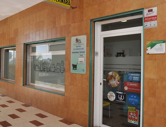 Clínica Veterinaria Motril (Motril)