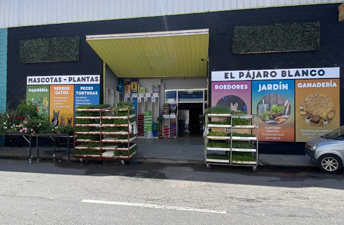 El Pájaro Blanco (Ogíjares)