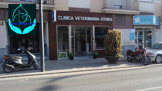 Clínica Veterinaria Otura (Otura)