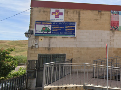 AVI Vet SoS (El Casar)