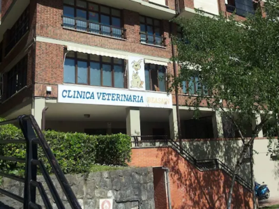 Clínica Veterinaria Beasain (Beasain)