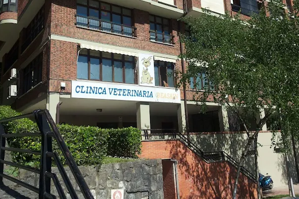 Clínica Veterinaria Beasain (Beasain)