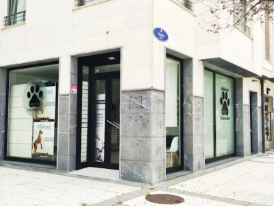 Laguntxo (Donostia / San Sebastián)