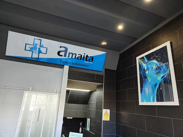 Amaita Vet - Veterinario Irun (Irun)