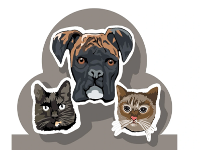 Clínica Veterinaria MuxkiIda (Irun)