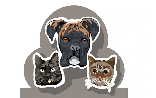 Clínica Veterinaria MuxkiIda (Irun)