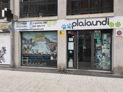 Clínica Veterinaria Plaiaundi (Irun)