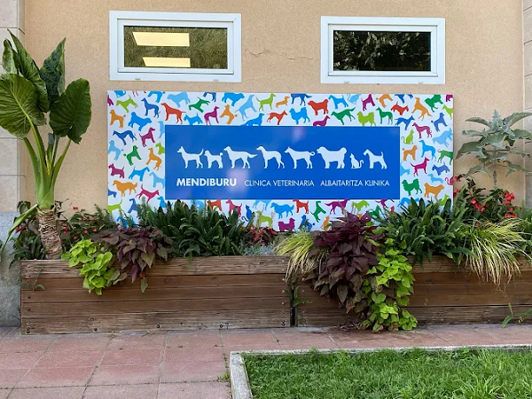 Clínica Veterinaria Mendiburu - Albaitari Klinika (Elizalde)