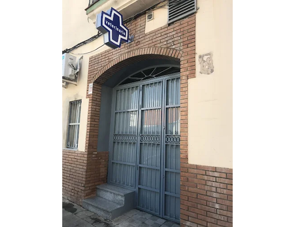 Barriga Verde (Gibraleón)