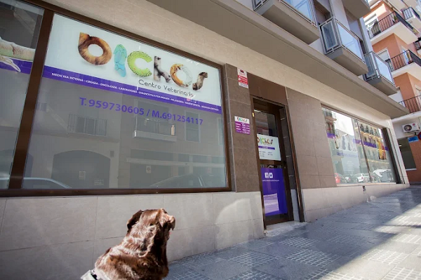 Centro Veterinario Bichos – Animales Exóticos (Huelva)