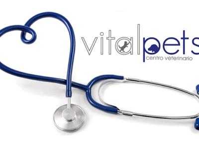 Centro Veterinario Vital Pets (Huelva)