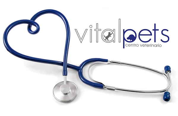 Centro Veterinario Vital Pets (Huelva)