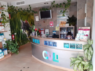 Centro Veterinario Llandes (Lepe)