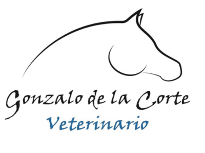 Clínica Equina Gonzalo de la Corte (Punta Umbría)