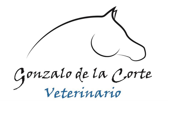 Clínica Equina Gonzalo de la Corte (Punta Umbría)