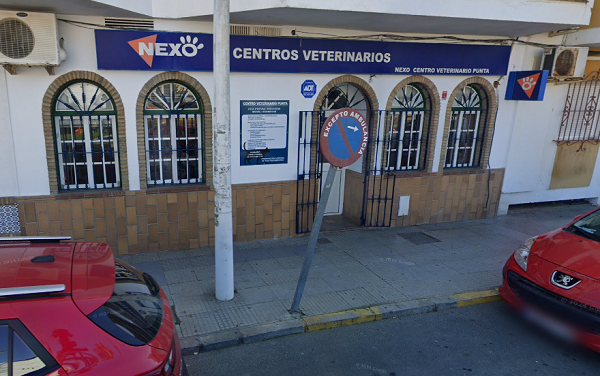 Nexo Veterinario Punta Umbría (Punta Umbría)