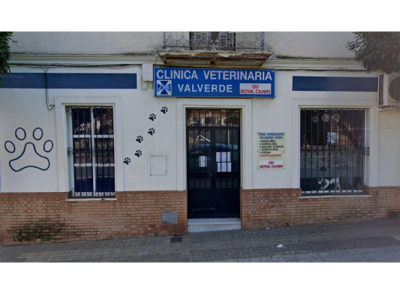Clínica Veterinaria Valverde (Valverde del Camino)
