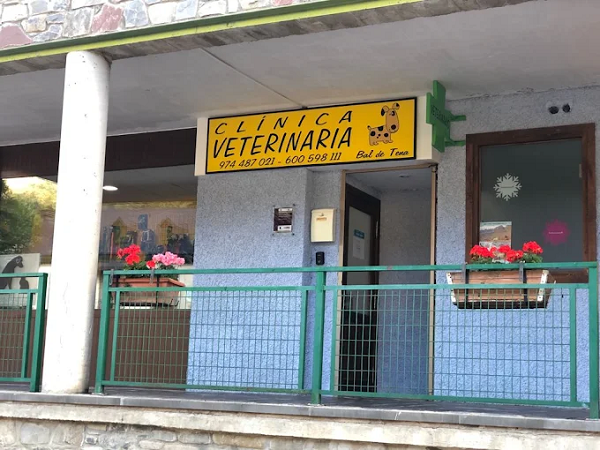 Clínica Veterinaria Bal de Tena (Escarrilla)