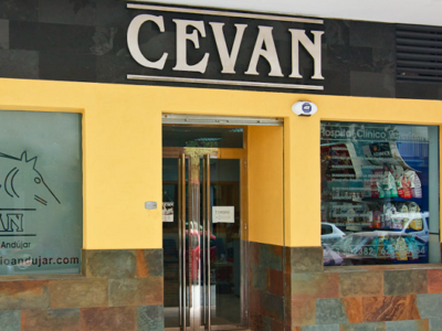 Centro Veterinario Andújar - CEVAN (Andújar)