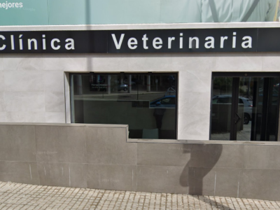 Clínica Veterinaria Renacimiento (Baeza)