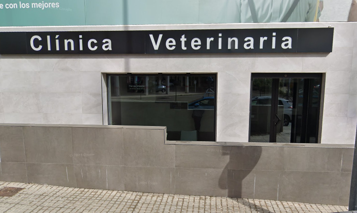 Clínica Veterinaria Renacimiento (Baeza)