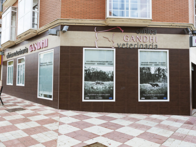 Clínica Veterinaria Gandhi (Bailén)
