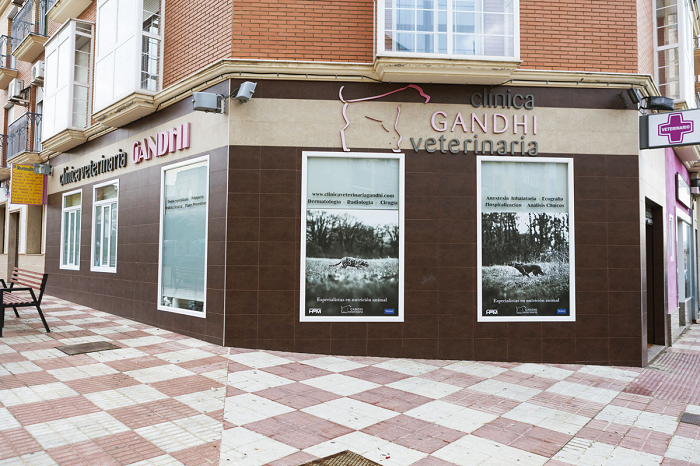Clínica Veterinaria Gandhi (Bailén)