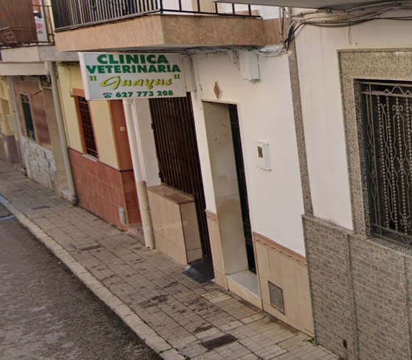 Clínica Veterinaria Guayus (Bailén)