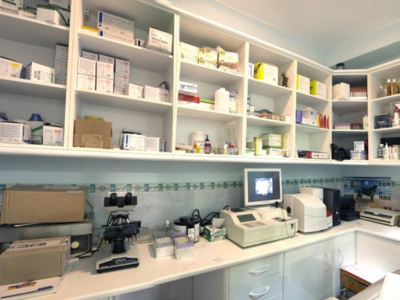 Policlínica Veterinaria "Aníbal" (Linares)